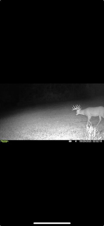 Screenshot 2026-01-09 at 12.49.37 PM