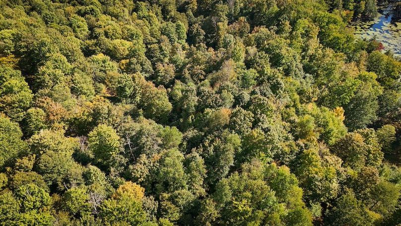 Oswego NY 18.18 Martin Photos 33