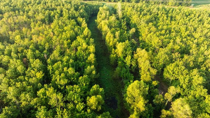 MadisonParLa1372-084