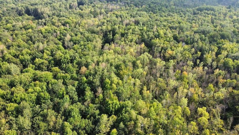 dji_fly_20240826_164434_385_1724708982008_photo_optimized