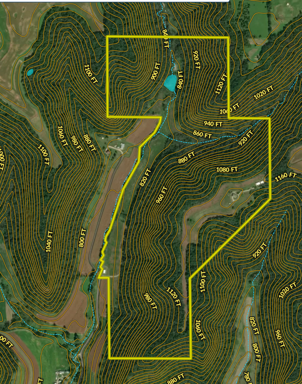 Screen Shot 2022-10-10 at 10.31.18 AM