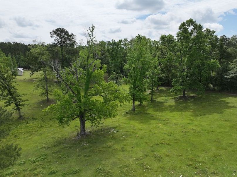 dji_fly_20260422_093404_0152_1777507272009_photo