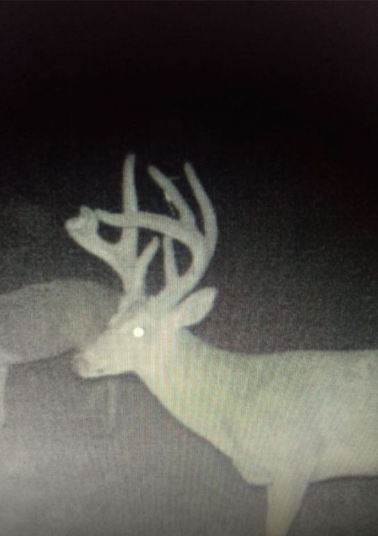 Claiborne Co-314-Fernandez-23