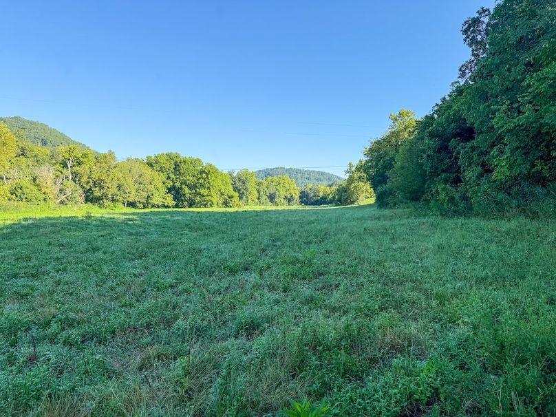 Fleming 32.98 new pic -05