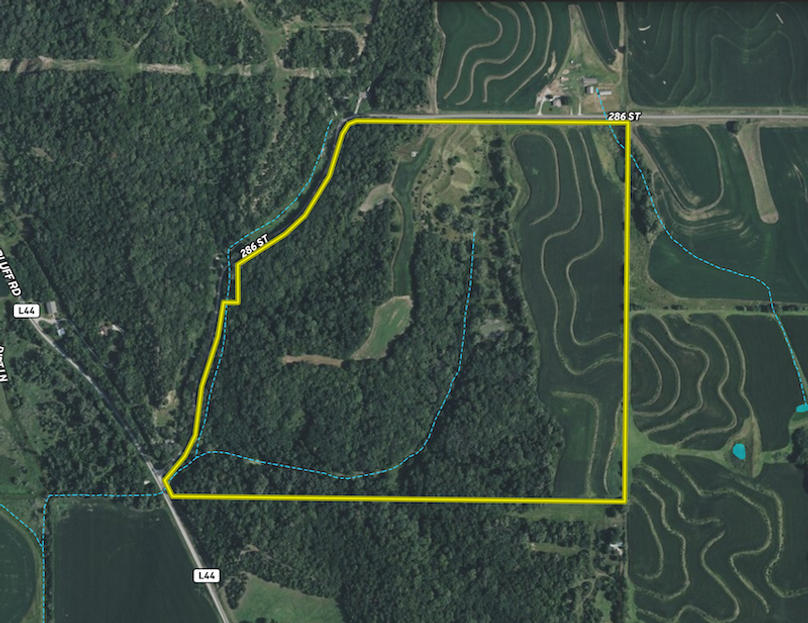 Screenshot 2025-09-13 at 7.42.11 PM