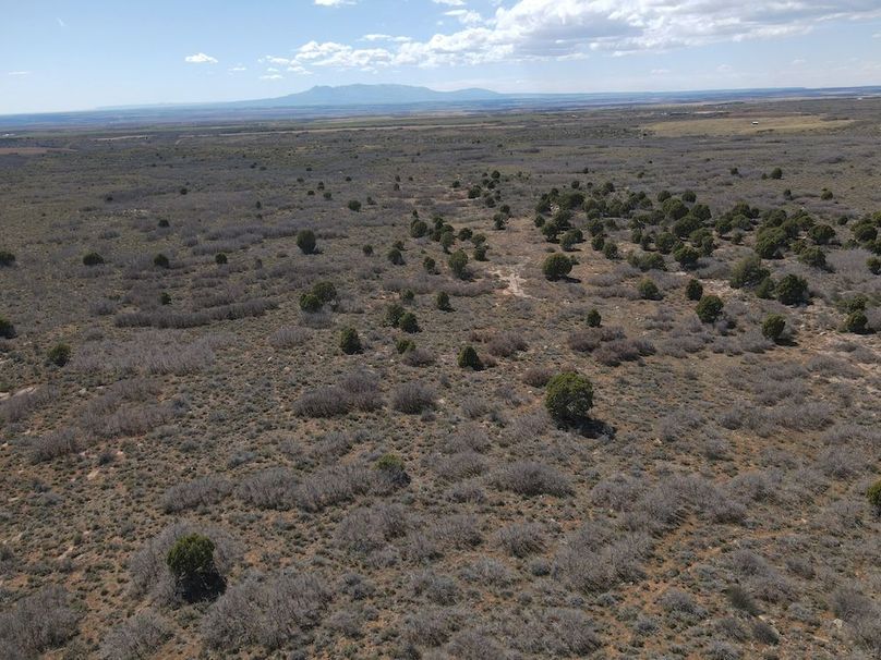 DJI_0004