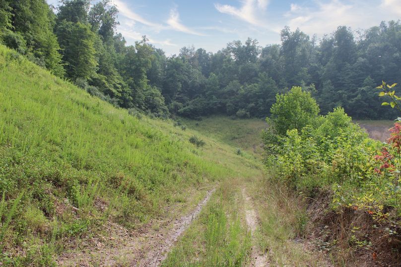 008 secondary road leading into the south portion of the property