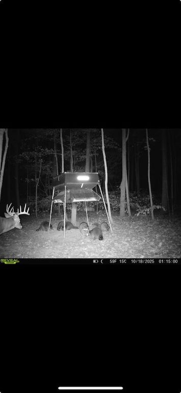 Screenshot 2026-01-09 at 12.50.39 PM