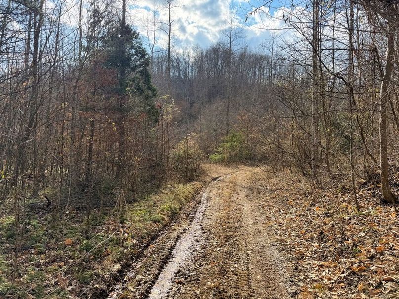 019 main trail leading back towards the flats-2