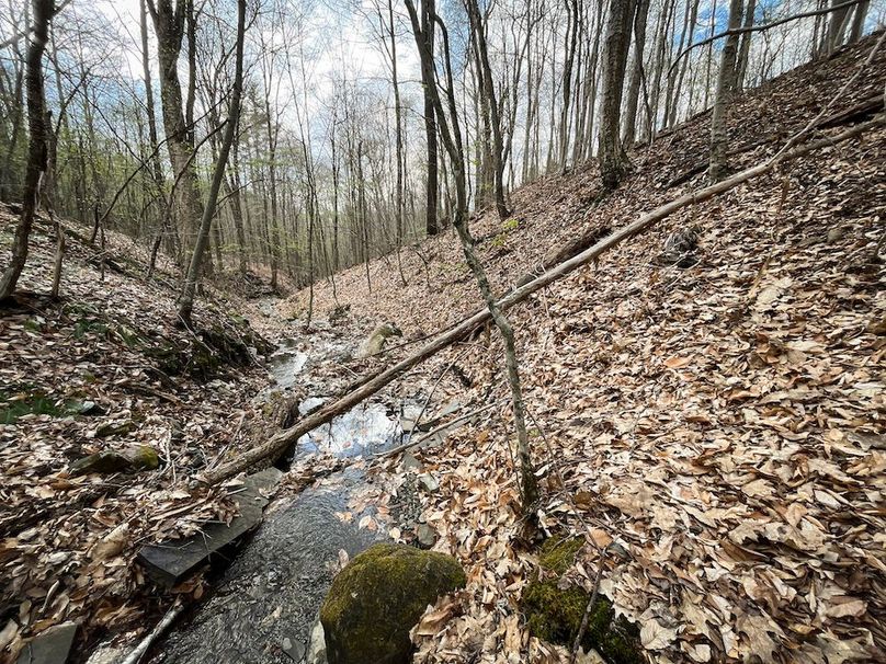 Tioga_76.65_Matyjas_Photos_17