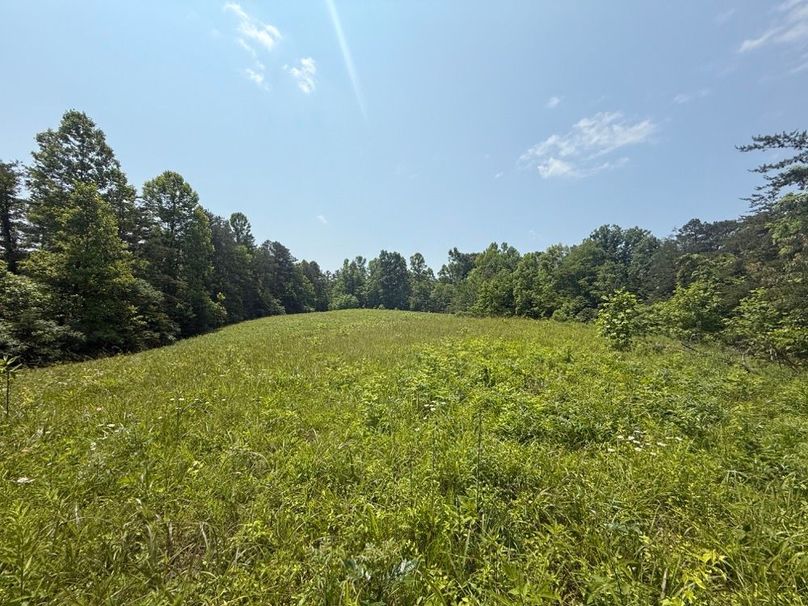 021 more of the beautiful rolling fields in the upper area of the property-2