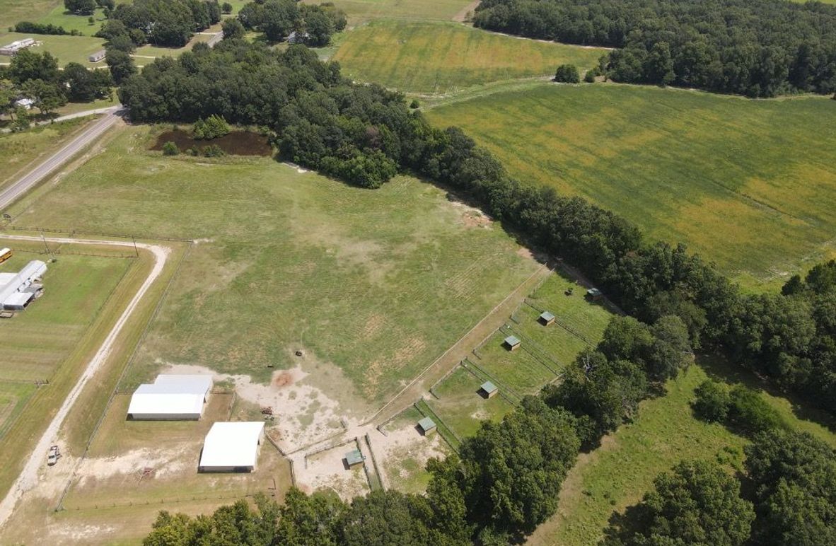 dji_fly_20250808_120250_654_1754672579501_photo