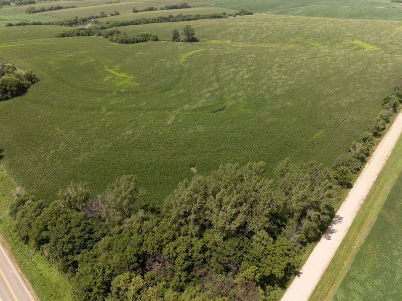 Copy of DJI_20250720141028_0107_D