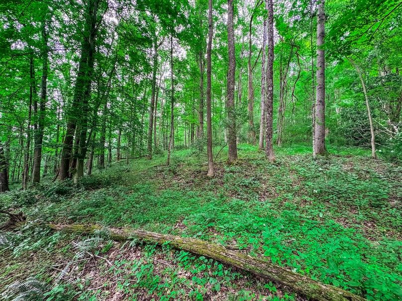 Doddridge, WV 15.68 AC Bonnett-68