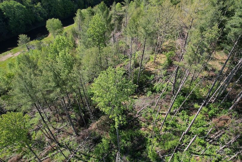 DJI_0012