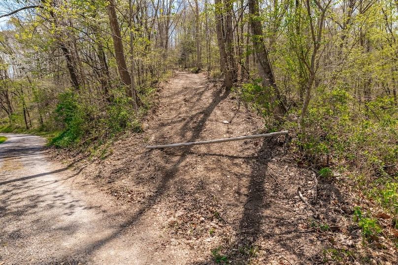 31-web-or-mls-0 Mound Creek Rd-1