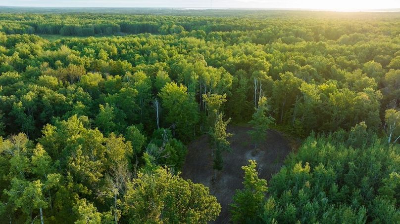 Cass MN 1095 Featured ProPhoto-61