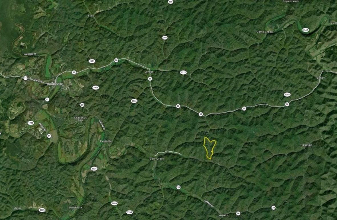 038 Owsley 99 Land ID zoomed out