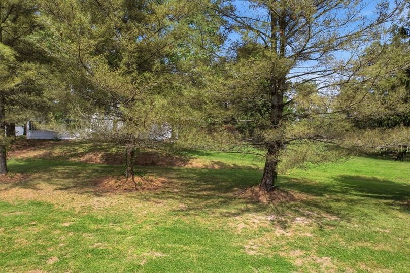 23-web-or-mls-DJI_0789