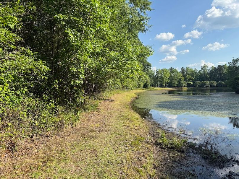 7 - pond front