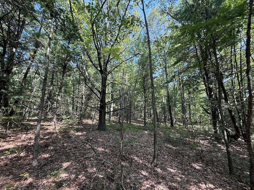 Chemung_20.82_Meyers Photo 11