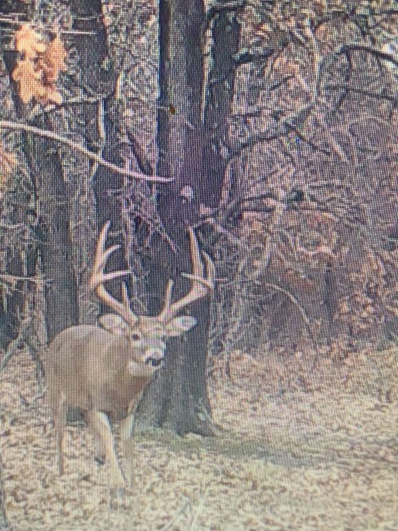 I59763374617__2F4F0CB7-E1F9-4120-9433-06C40E3E0C6B