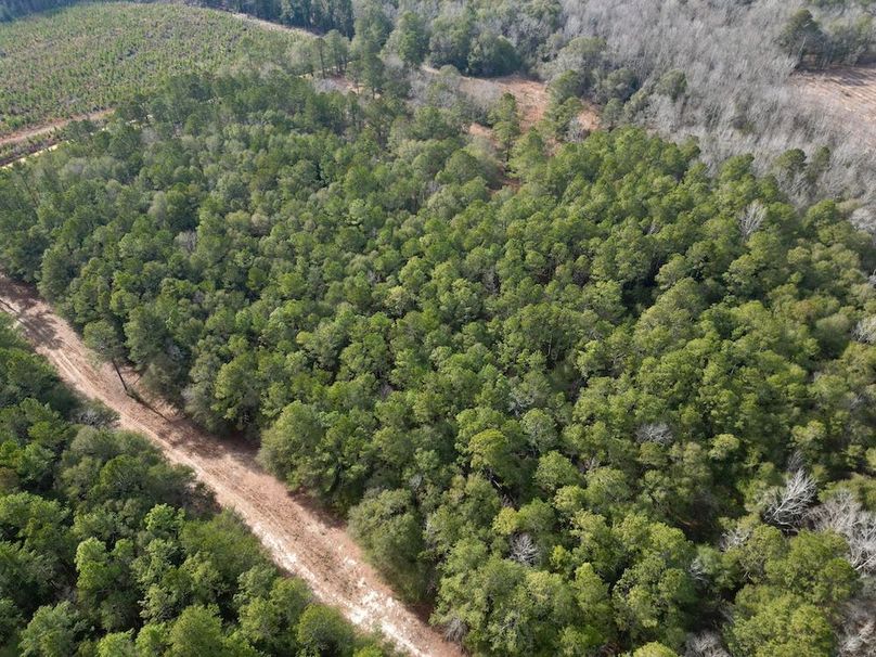 dji_fly_20260203_142626_666_1770146700408_photo