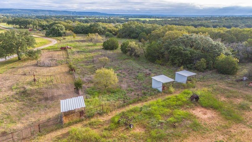 11. Horse runs with sheds