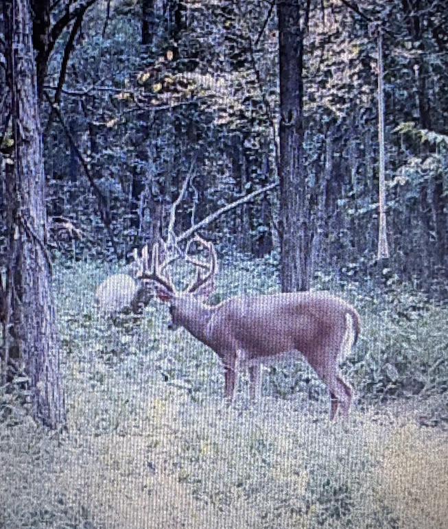 Screenshot 2026-03-02 at 9.56.23 AM