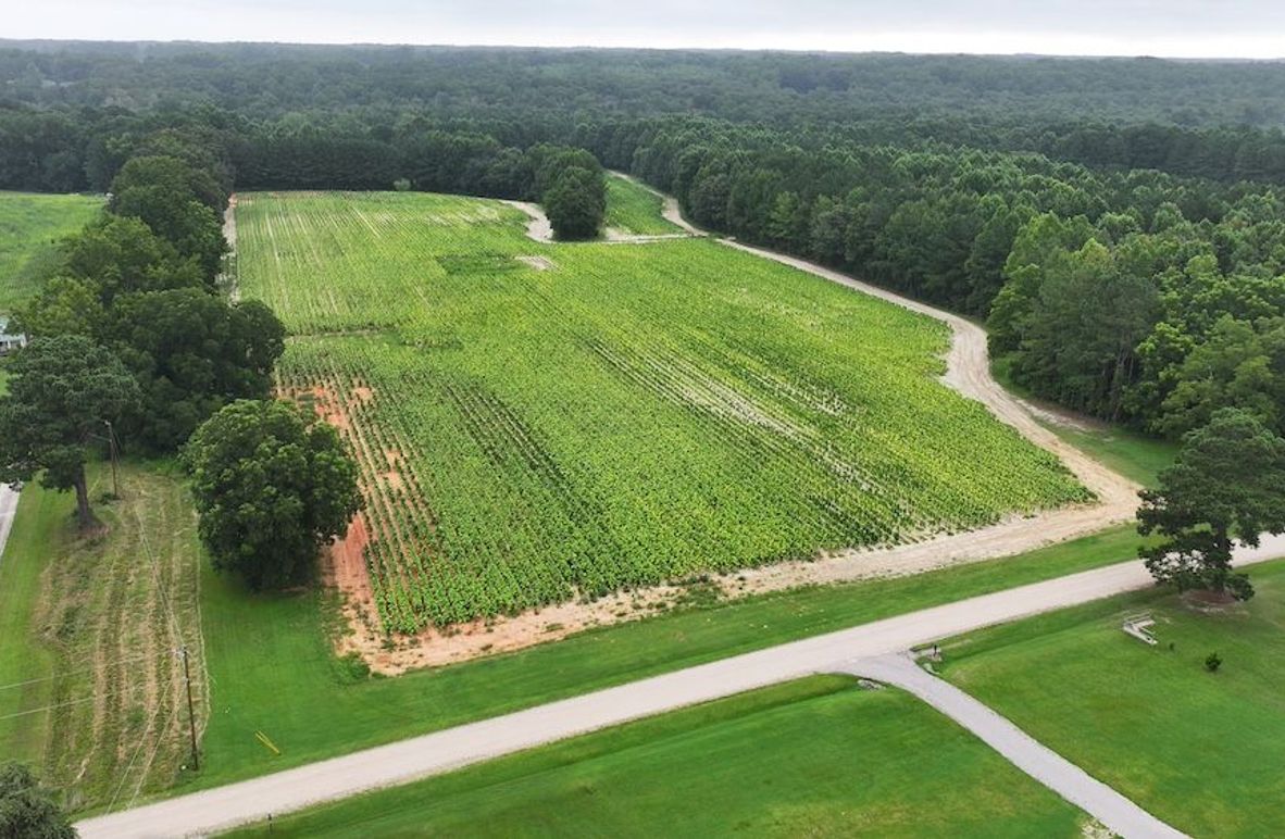 DJI_20250715001605_0146_D