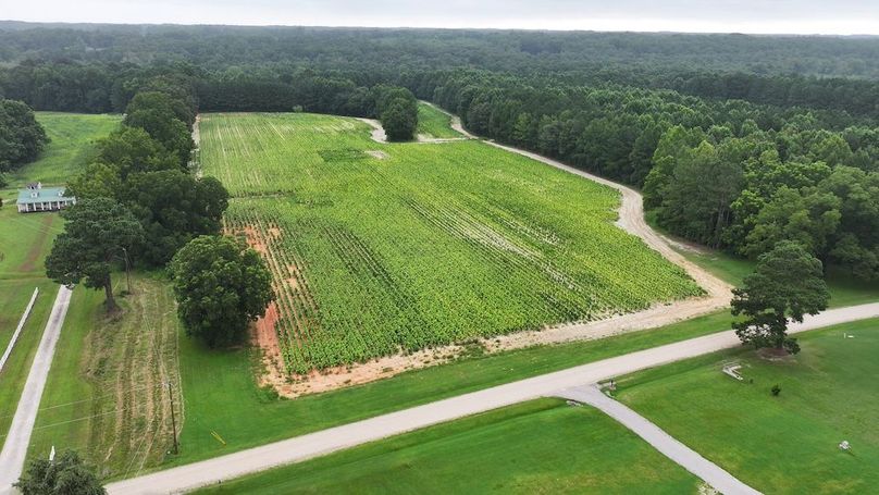 DJI_20250715001605_0146_D