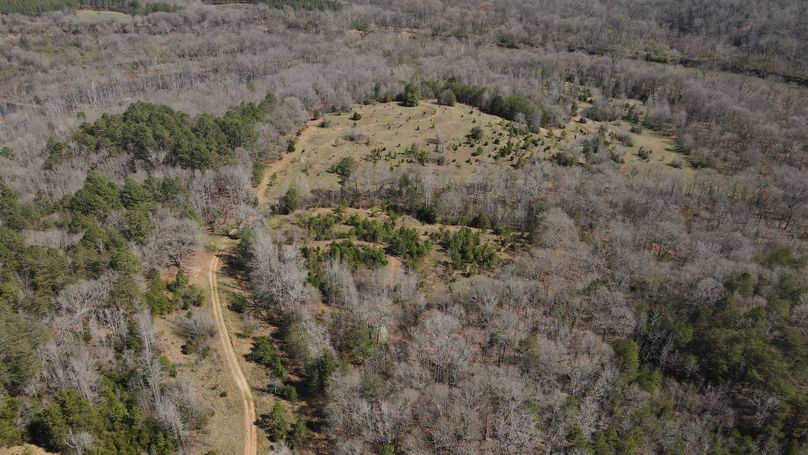 dji_fly_20230228_130210_93_1677607571574_photo