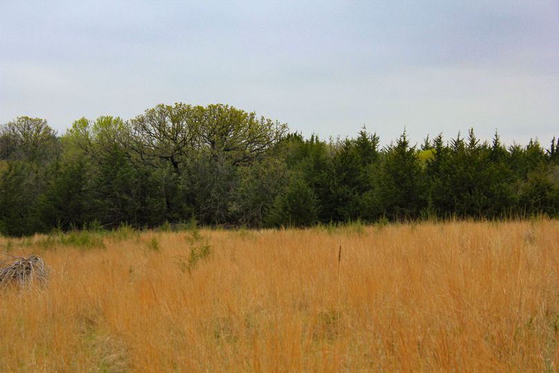 Washington, Co, 83.3_022