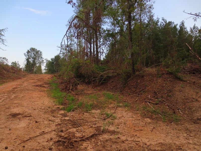 A1EC5C52-22E9-4864-A48F-CF4B5595D7D2_1_105_c