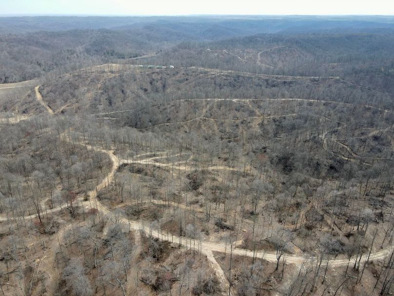 dji_fly_20240329_125558_568_1711731372306_photo