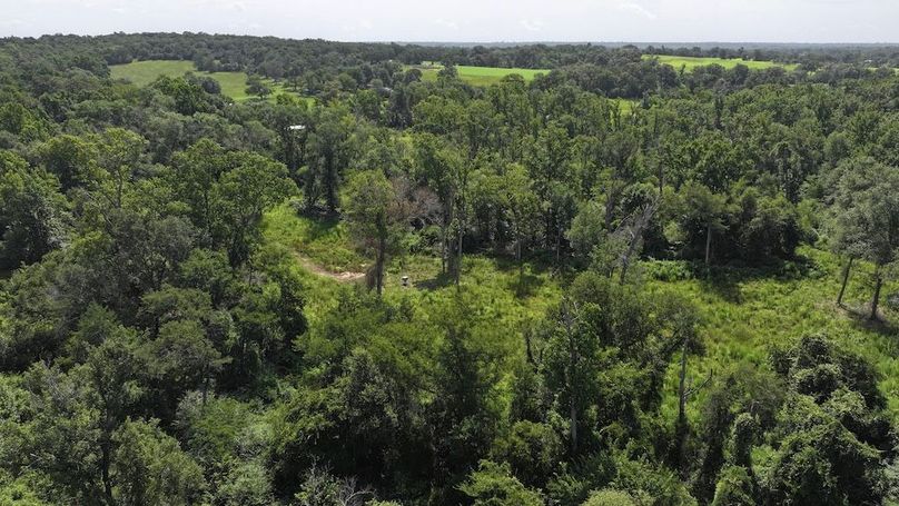 Copy of 58-DJI_20250710110404_0056_D