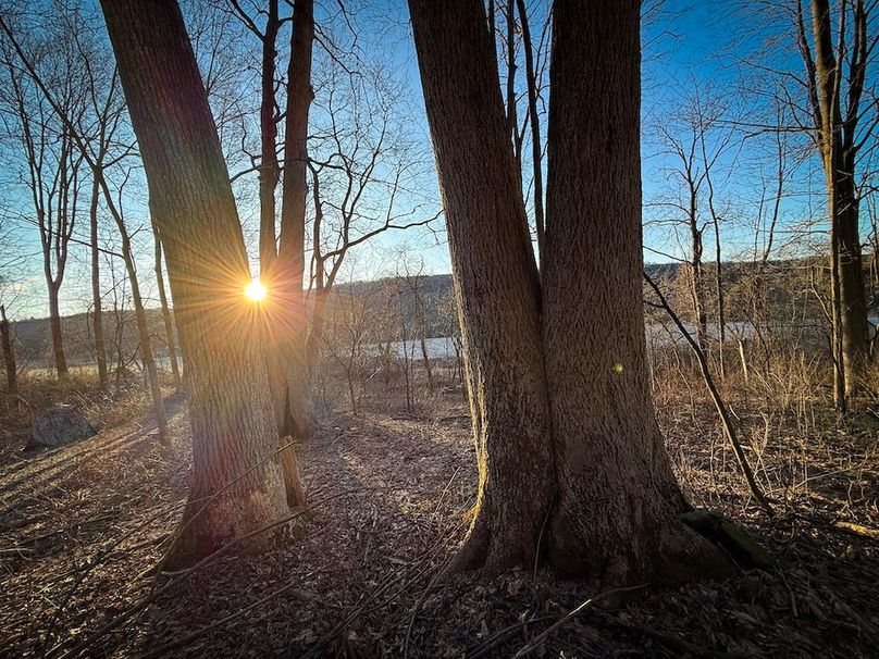 Cayuga 32 Stoyell Photos 41