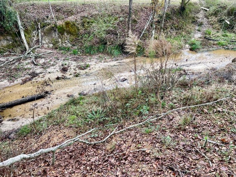 F78F7C85-60B1-40CE-9894-A0C4412EDEDB_1_201_a