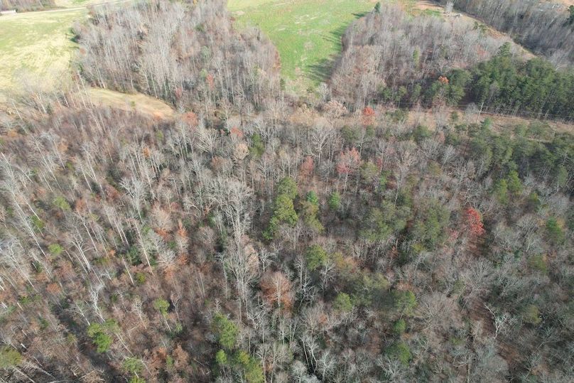 dji_fly_20251120_031338_961_1763685559054_photo