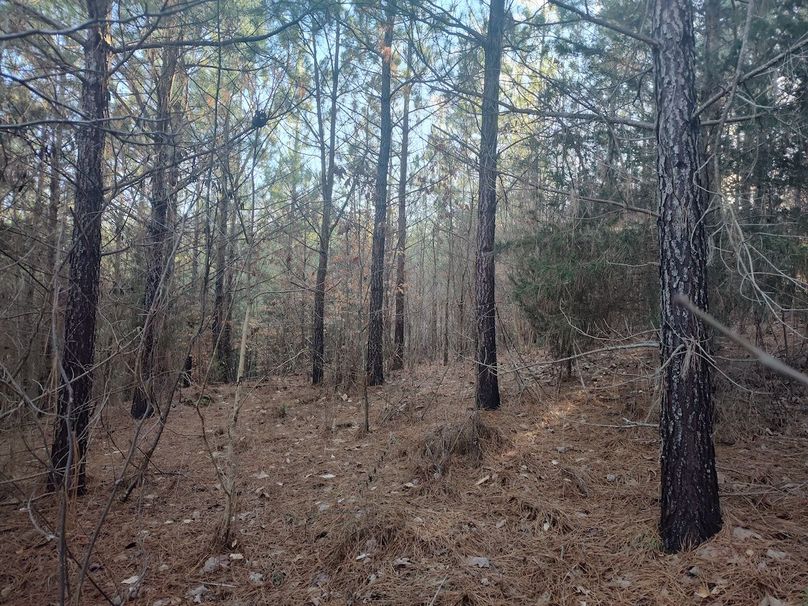 IMG_20240302_165819211_HDR