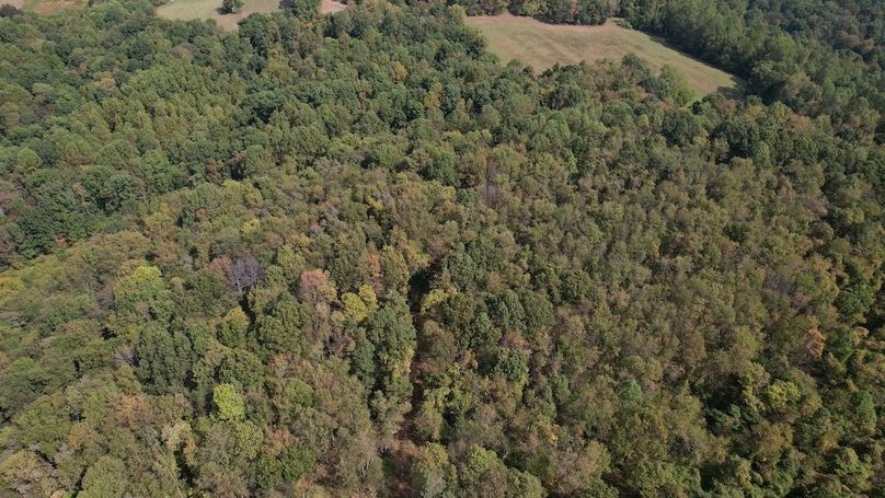 dji_fly_20250916_115116_740_1758038507791_photo