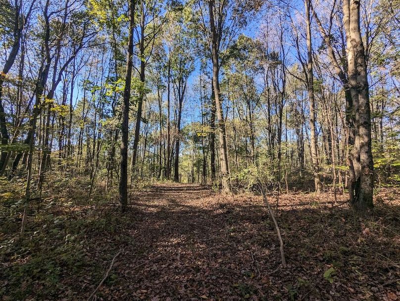 PXL_20251001_205215008