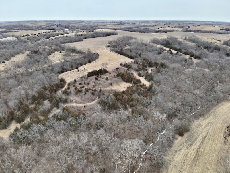 B8AAA22D-9001-4953-9B05-471E55BD529F_1_201_a