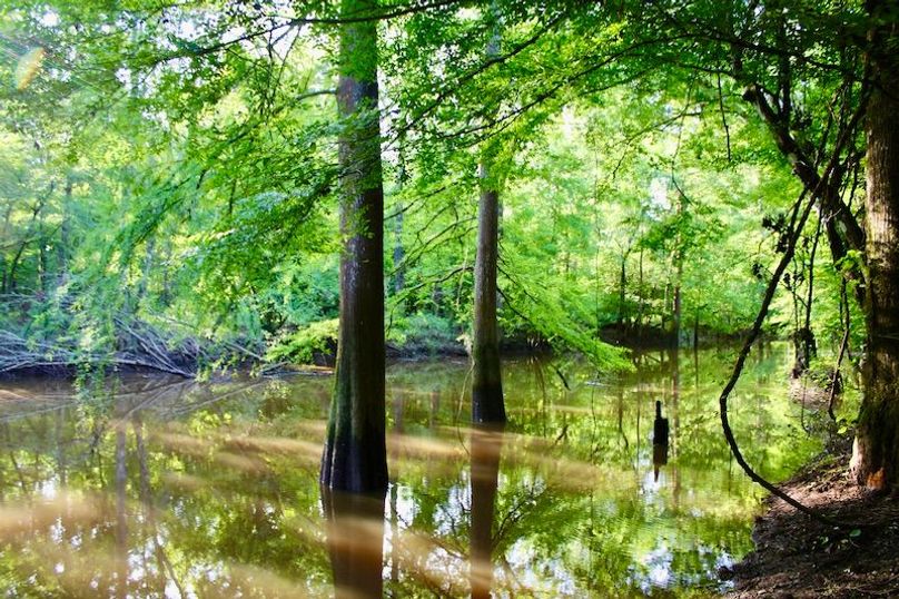 99B89567-217D-41D1-80CF-A52AC1AEEB87_1_201_a