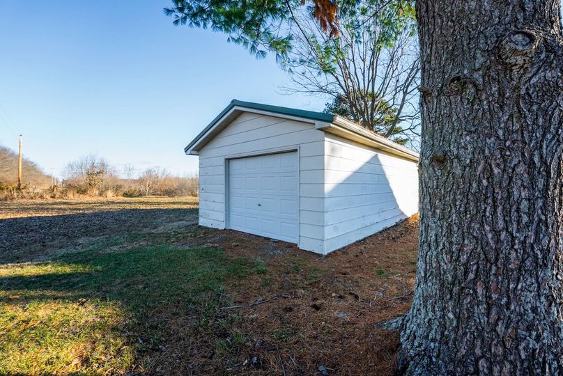 Copy of DSC00645 Large