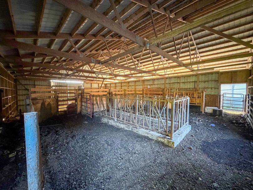 Monroe 5.31-18 Large