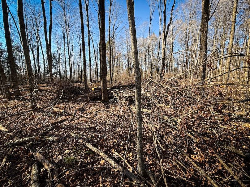 Chemung_31.75_Seymour_North_Photos_25