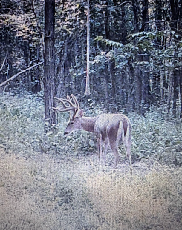 Screenshot 2026-03-02 at 9.56.09 AM