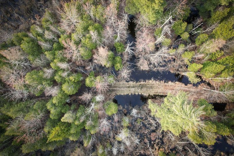 StLawrence_142.7_Bosse_Photos_35