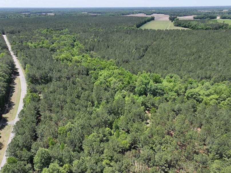 dji_fly_20260508_124718_0704_1778332830077_photo